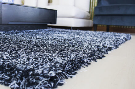 black carpet in the living room.